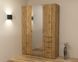 Распродажа Шкаф Кристалл 2, Дуб Аппалачи, 1500х520х2100 (59855154) - Континент фото 4